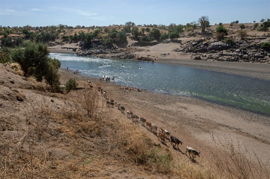 Ethiopia-Sudan Border Skirmishes Spark Fears of a Wider War