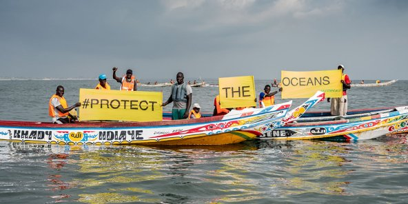 Huile et farine de poisson: quand l’Europe affame l’Afrique de l’Ouest