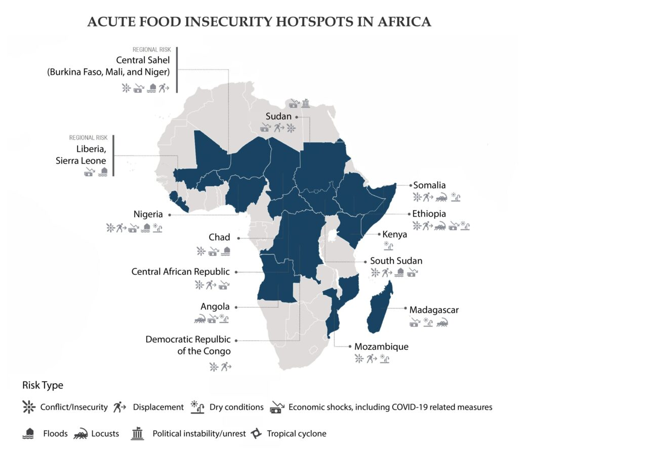 Conflict Drives Record Levels of Acute Food Insecurity in Africa