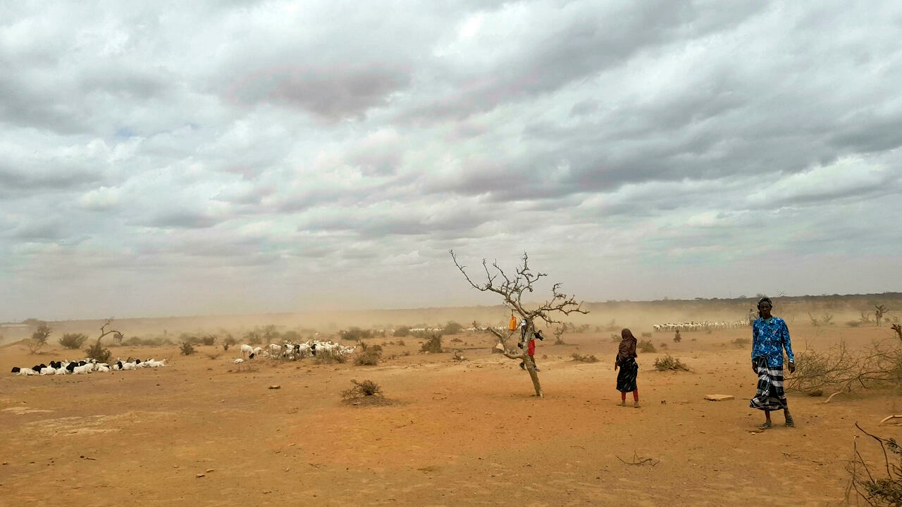 Somalie: face à la sécheresse, la situation humanitaire se détériore dangereusement