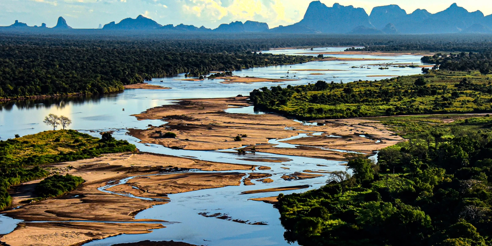 Mozambique’s Isis Insurgency Threatens to Destroy Conservation Progress and Fragile Environmental Protections in Niassa Special Reserve