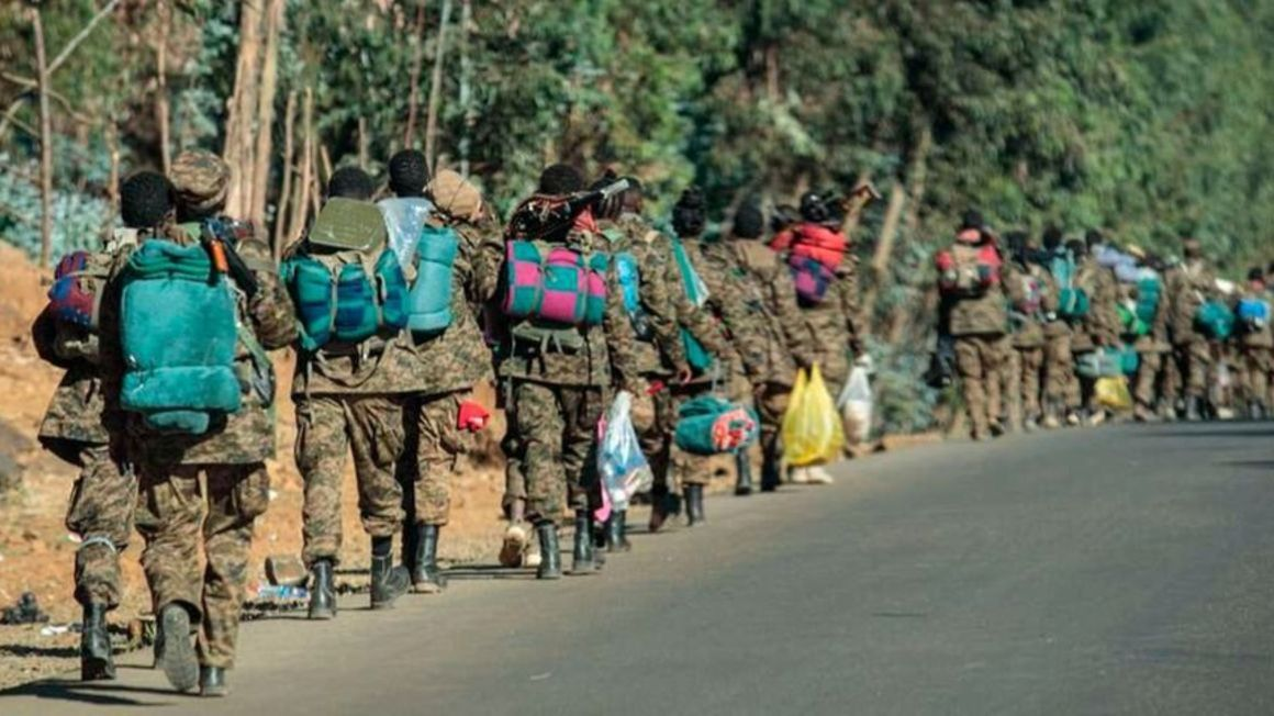 Ethiopian security forces kill ‘a large number’ of Oromo rebels: minister