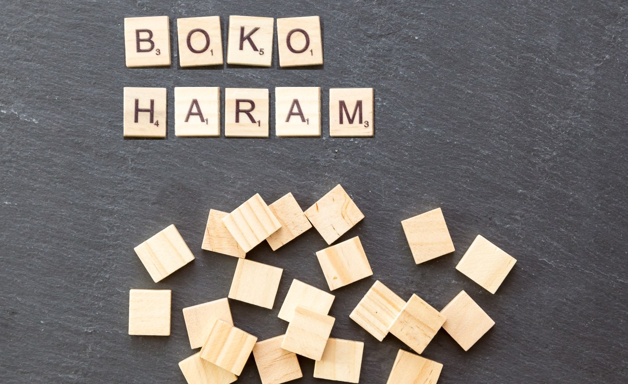 Nigeria: 61,000 Boko Haram Suspects Detained in Northeast Nigeria – Official