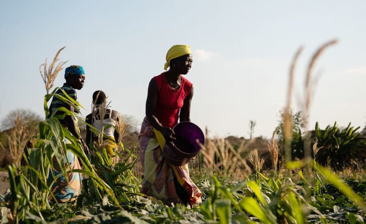 Mozambique: From Fighting to Farming – Supporting Peacebuilding in Mozambique