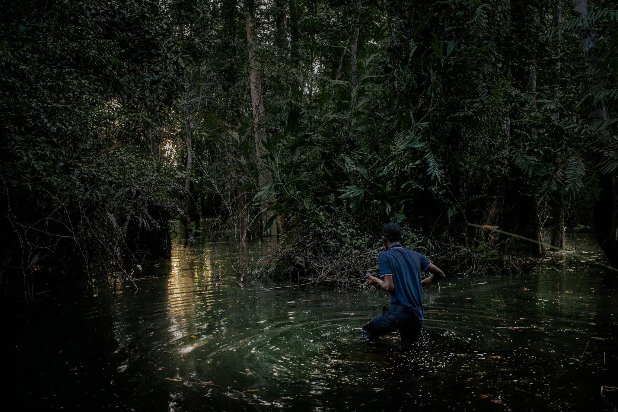 Congo to Auction Land to Oil Companies: ‘Our Priority Is Not to Save the Planet’