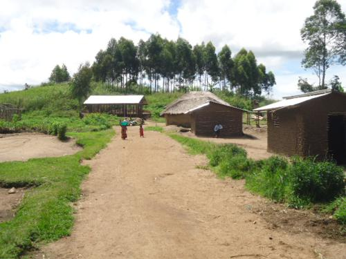 Ituri : 14 personnes tuées dans une nouvelle attaque de CODECO à Lodjo