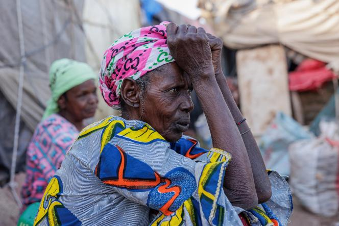 Mali : la junte interdit les activités des ONG financées par la France