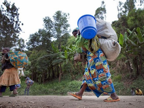 Nord-Kivu : situation relativement calme sur les lignes des fronts ce vendredi